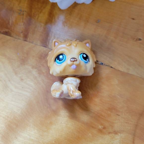 Littlest Pet Shop LPS #117 Chow Chow Dog Orange Brown Blue Eyes Hasbro 2005 - Picture 9 of 9